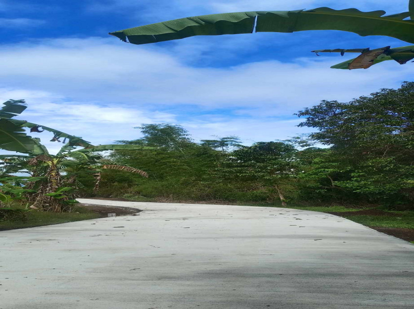 Farm Lot For Sale: River Front Leisure Farm And Resort At Indang, Cavite