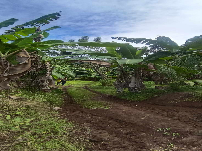 Farm Lot For Sale: River Front Leisure Farm And Resort At Indang, Cavite