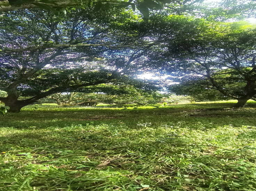 Farm Lot For Sale: River Front Leisure Farm And Resort At Indang, Cavite