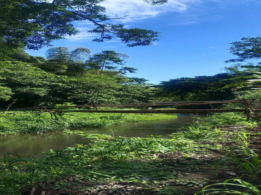 Farm Lot For Sale: River Front Leisure Farm And Resort At Indang, Cavite