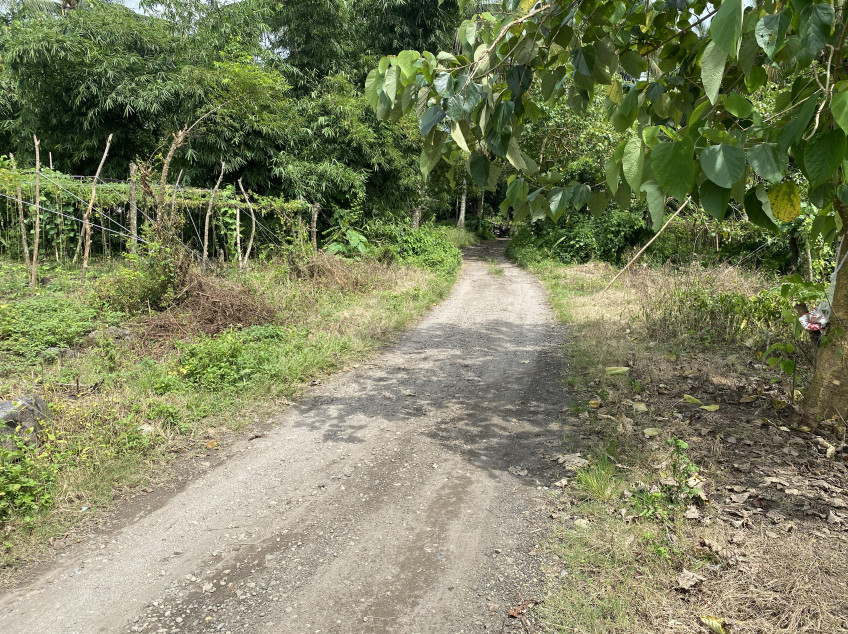 1000 SQM Land For sale In Sariaya, Quezon