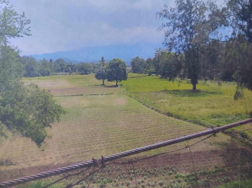 Farm Land 180,000 SQM(18 Hectares) In Nueva Ecija