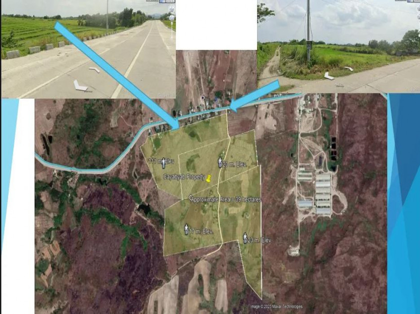 195 Hectares Of Land For Sale In Moriones, San Jose, Tarlac