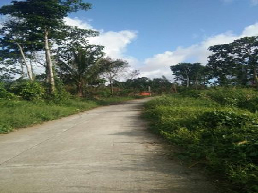 4,833 SQM Lot For Sale In Isabang Majayjay Laguna