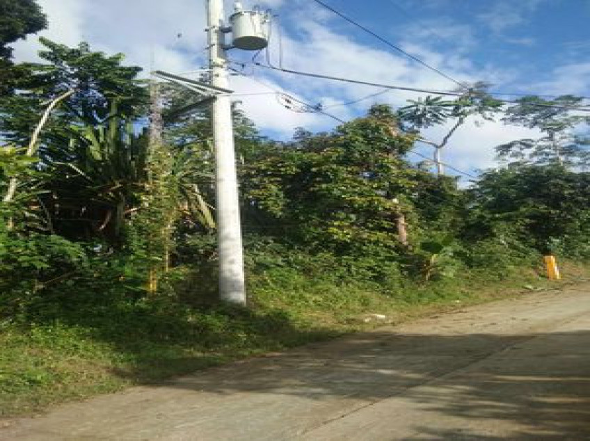4,833 SQM Lot For Sale In Isabang Majayjay Laguna
