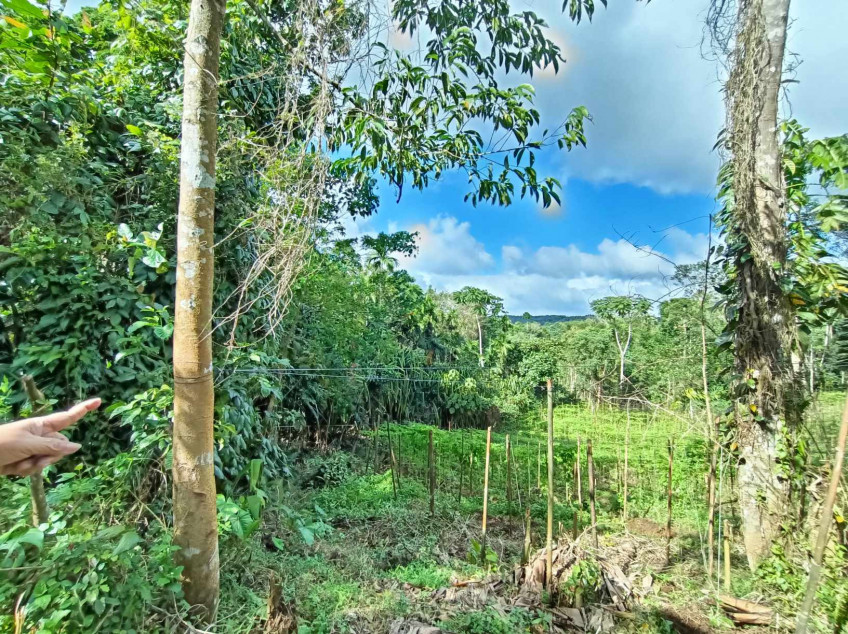 4,833 SQM Lot For Sale In Isabang Majayjay Laguna