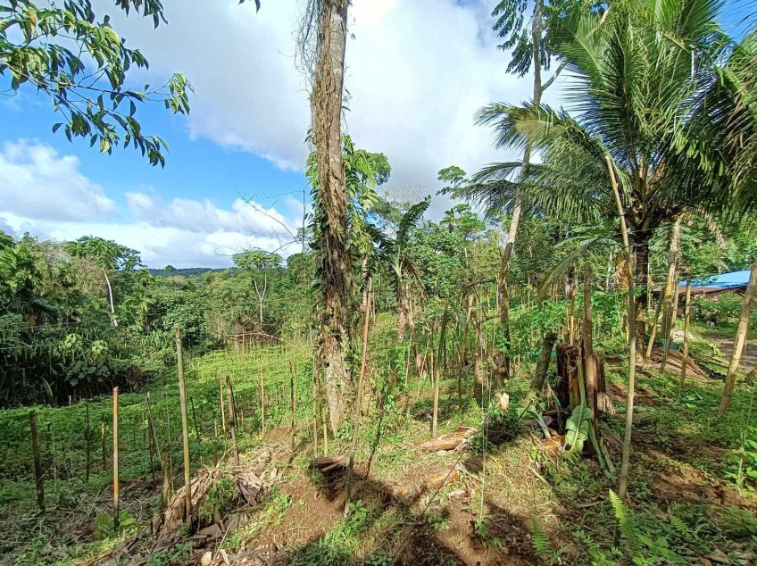 4,833 SQM Lot For Sale In Isabang Majayjay Laguna