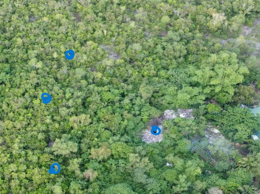 Lot For Sale In Dao, Dauis, Panglao, Bohol, Philippines