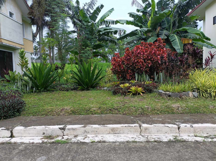 204 SQM Residential Lot At Summit Point Golf And Residential Estates Lipa, Batangas