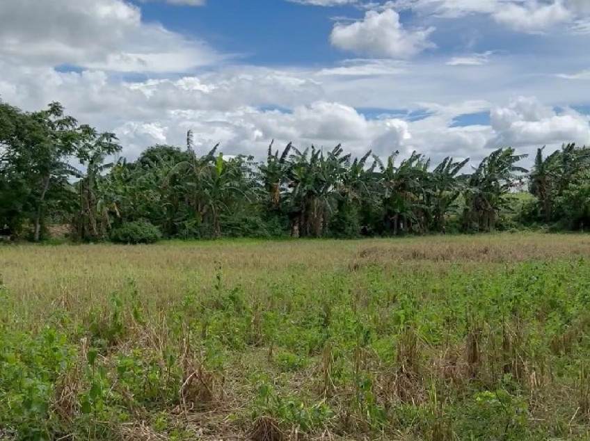 Farm Lot For Sale In Silang Cavite - 14,574 SQM
