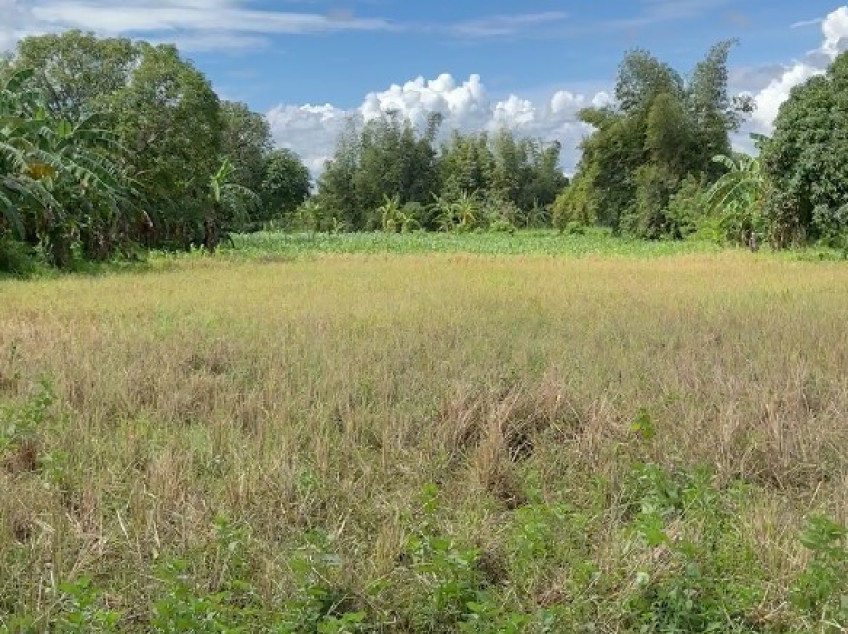 Farm Lot For Sale In Silang Cavite - 14,574 SQM