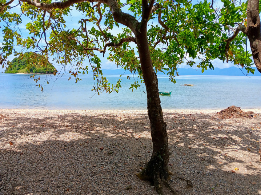 Beachfront House And Lot For Sale In Concepcion, Romblon