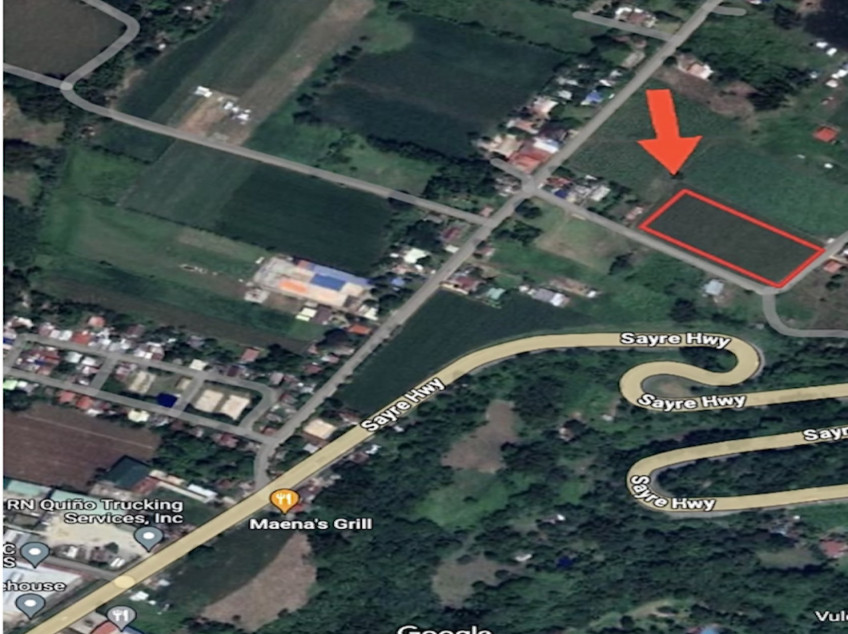 1 Hectare Land For Sale - Ideal for Housing Development In Bukidnon