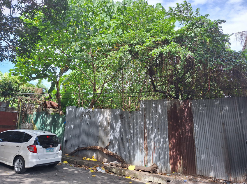 Lot For Sale In Quezon City