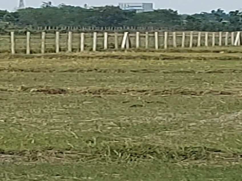 2 -Hectare Land In Capas, Tarlac