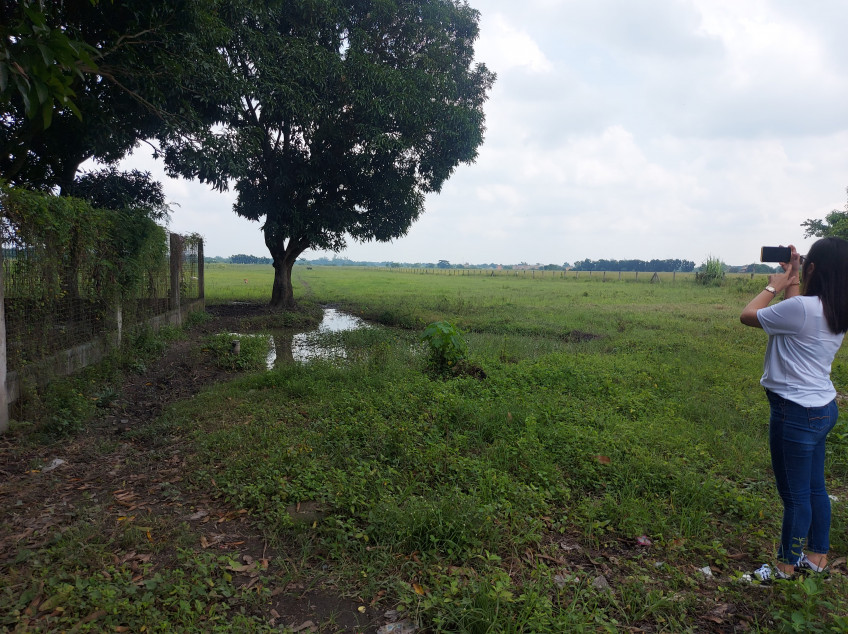 2 -Hectare Land In Capas, Tarlac