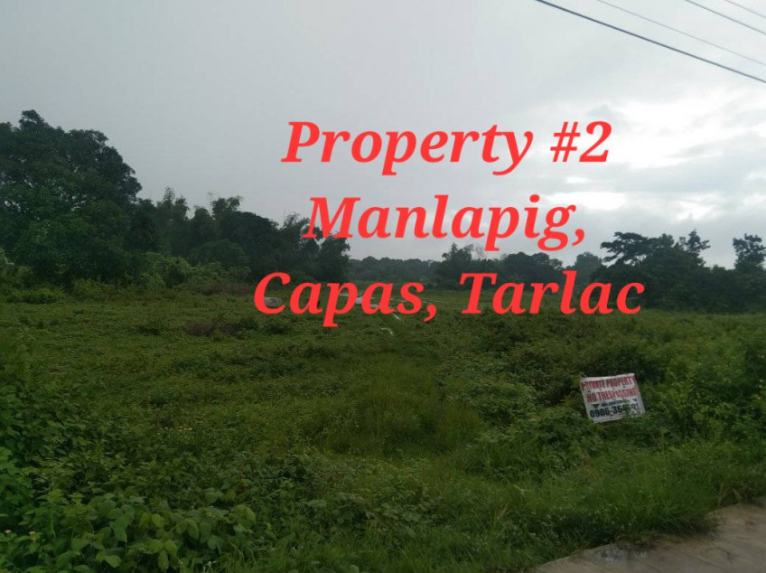 1 Hectare Lot Near New Clark City, Capas Tarlac