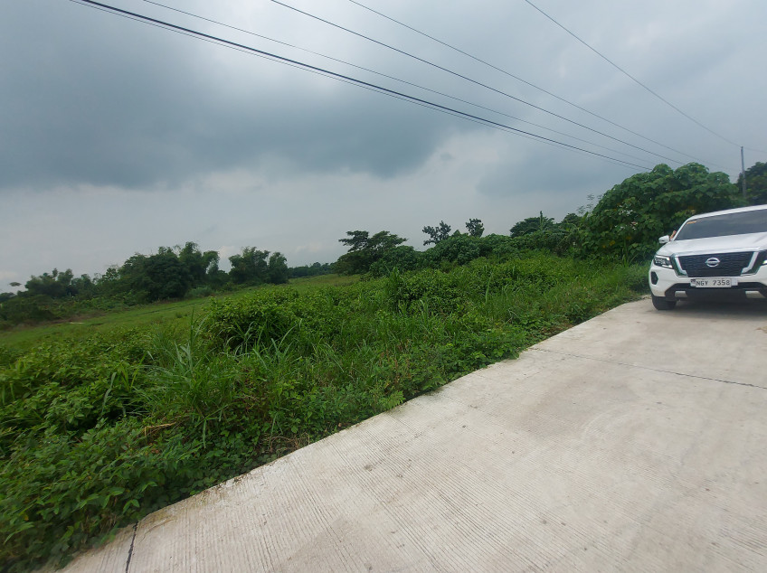 1 Hectare Lot Near New Clark City, Capas Tarlac