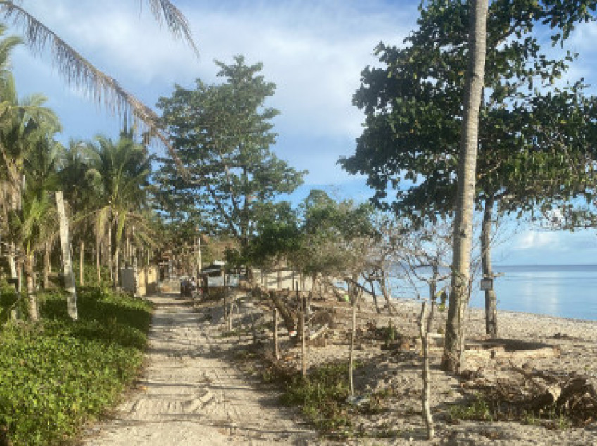 2 White Sand Beach Lots In Southern Leyte