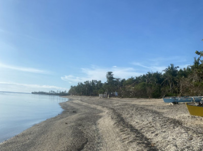 2 White Sand Beach Lots In Southern Leyte