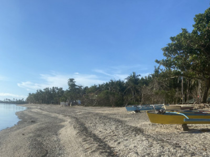 2 White Sand Beach Lots In Southern Leyte