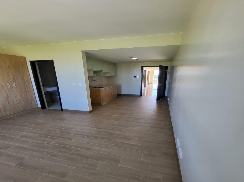 The Verdin At Maple Grove (Gen-Tri Cavite) Combinable Penthouse (10th Floor)