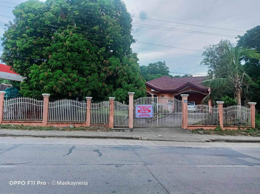 Along National Highway, Peñablanca, Cagayan Valley. 1000 SQM House And