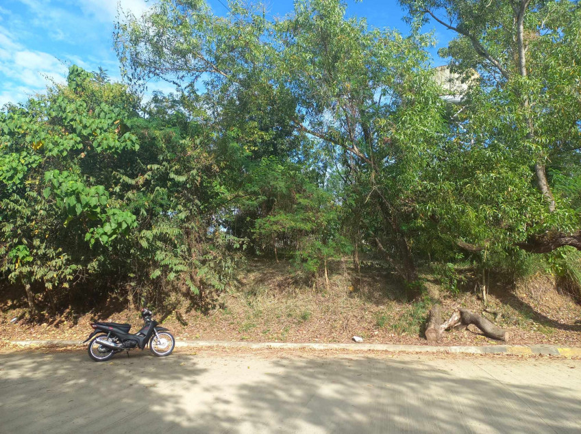 Parkridge Estate Lot For Sale In Antipolo City