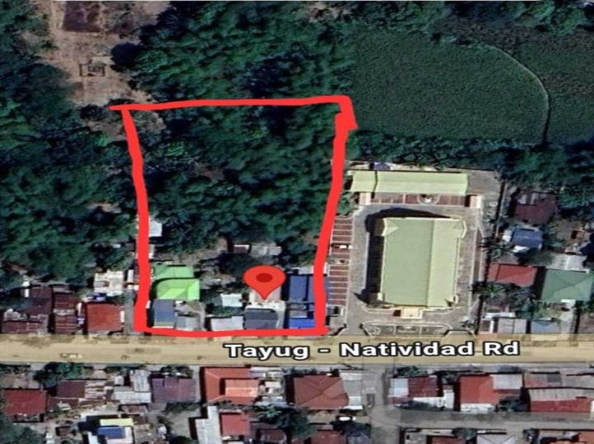 Highway Lot For Sale 3,518 SQM In Tayug, Pangasinan