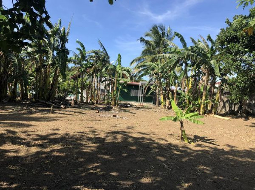 1.12HA 250sqm home farm 100m from Tagaytay Midlands Plantation fences