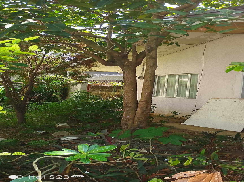 House And Lot For Sale Southwoods Biñan Laguna Near SLEX