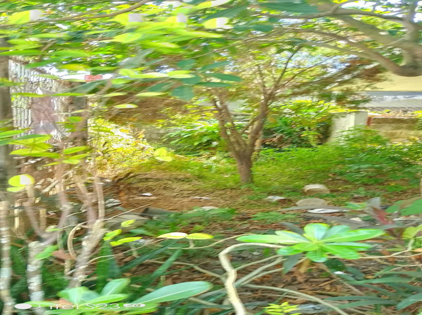 House And Lot For Sale Southwoods Biñan Laguna Near SLEX