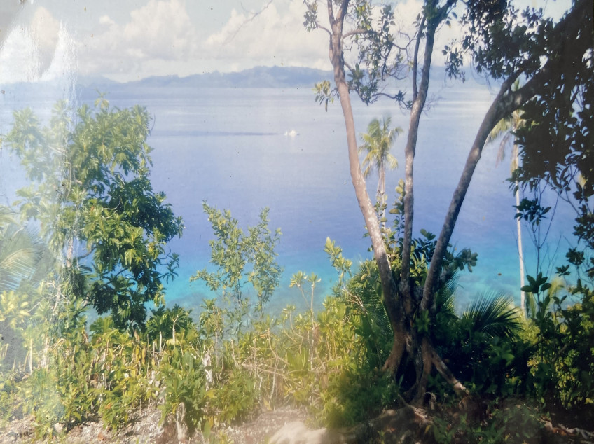 24,000 SQM Waterfront, Cliff Frontage With Tourist Development Plan In Southern Leyte