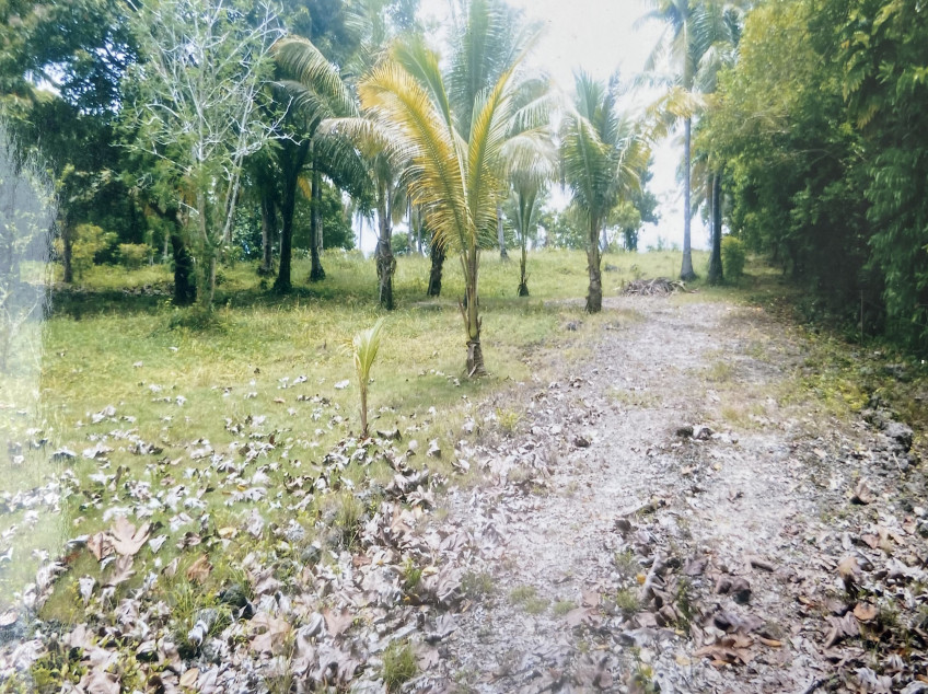 24,000 SQM Waterfront, Cliff Frontage With Tourist Development Plan In Southern Leyte