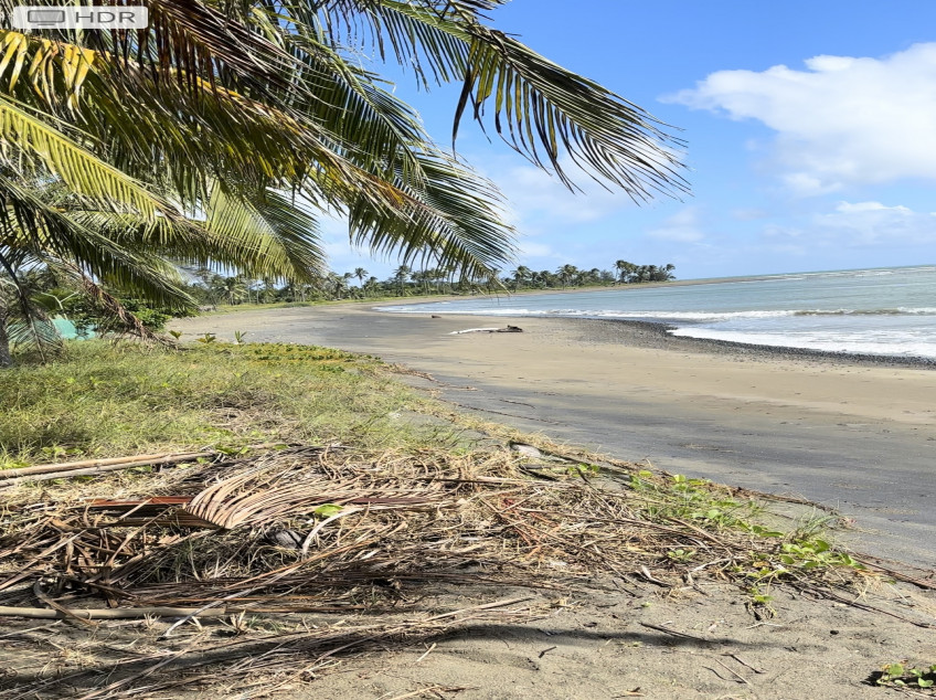 Beach Lot In Narra, Palawan (2.5 Hectares)