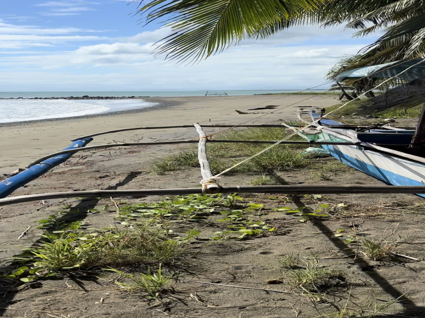 Beach Lot In Narra, Palawan (2.5 Hectares)