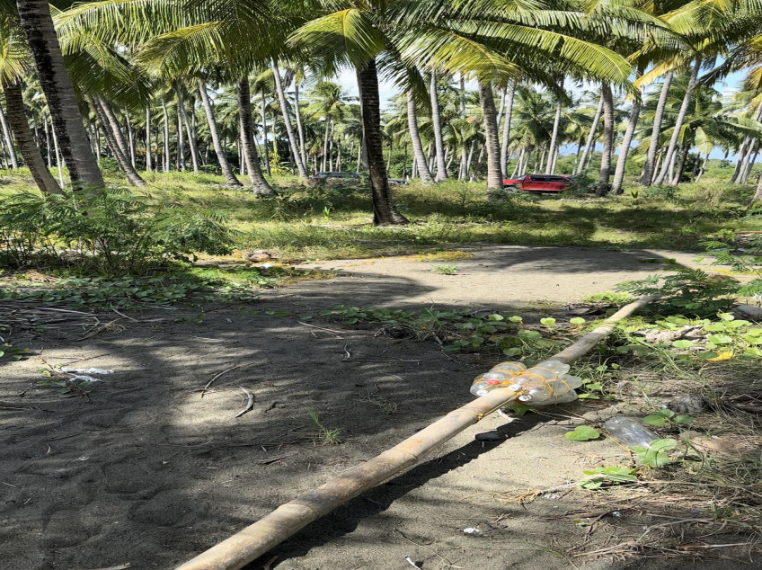 Beach Lot In Narra, Palawan (2.5 Hectares)