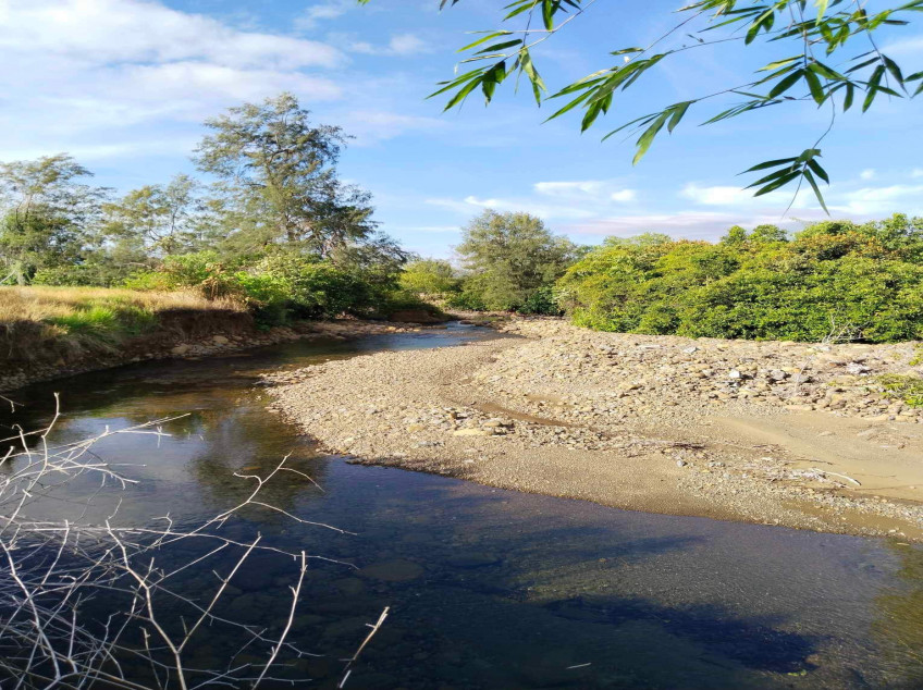 Farm Rice Fields 2.8 Hectares In Poblacion Narra, Palawan