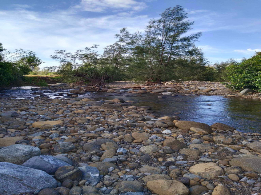 Farm Rice Fields 2.8 Hectares In Poblacion Narra, Palawan