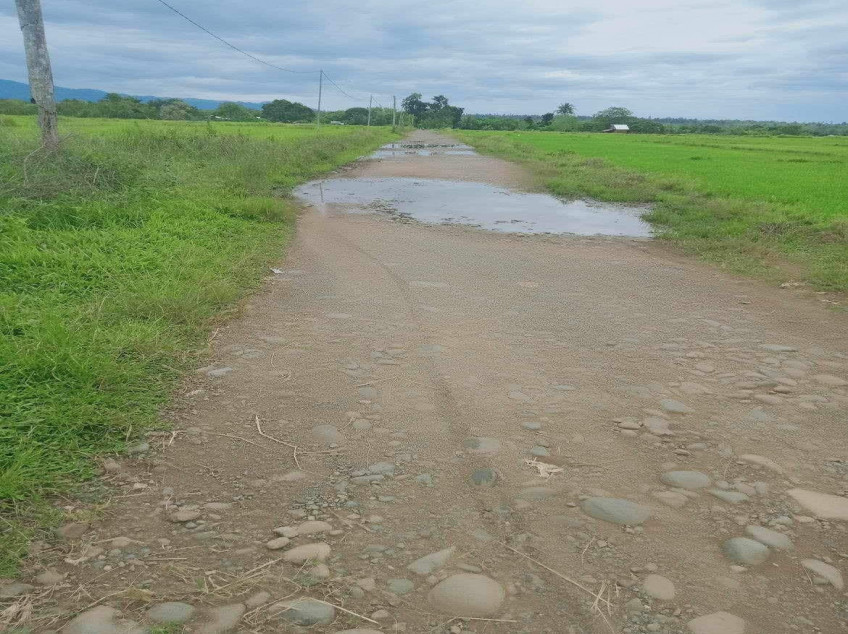 Farm With Rice Fields 3 Hectares In Narra, Palawan