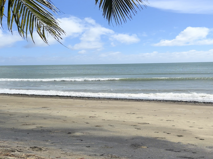 62-Hectare Beach With Farm Narra Palawan