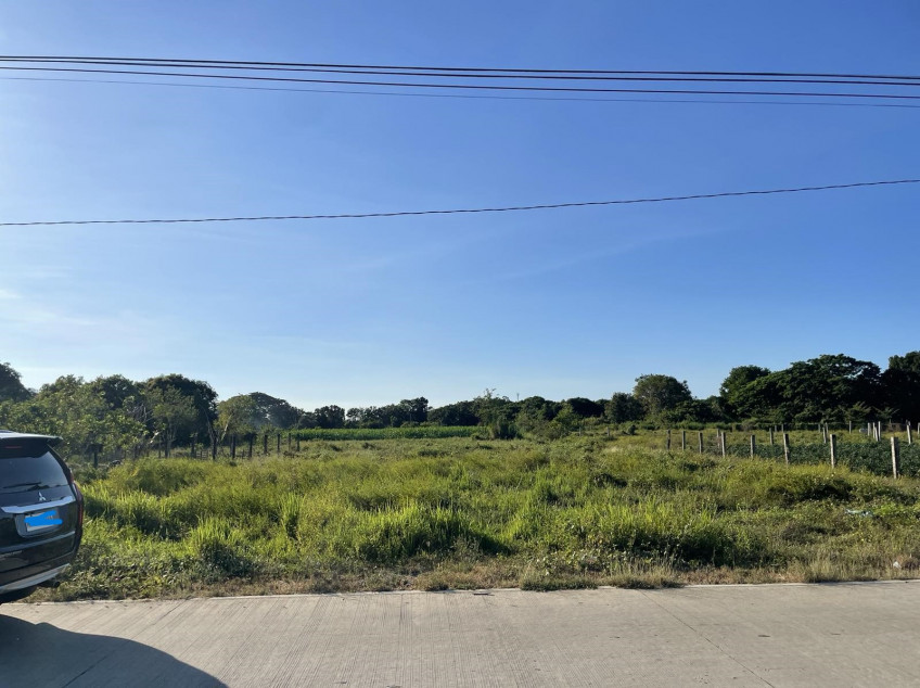 Residential/Agricultural Lot For Sale Located Along San Vicente-San Ildefonso Road, Ilocos Sur