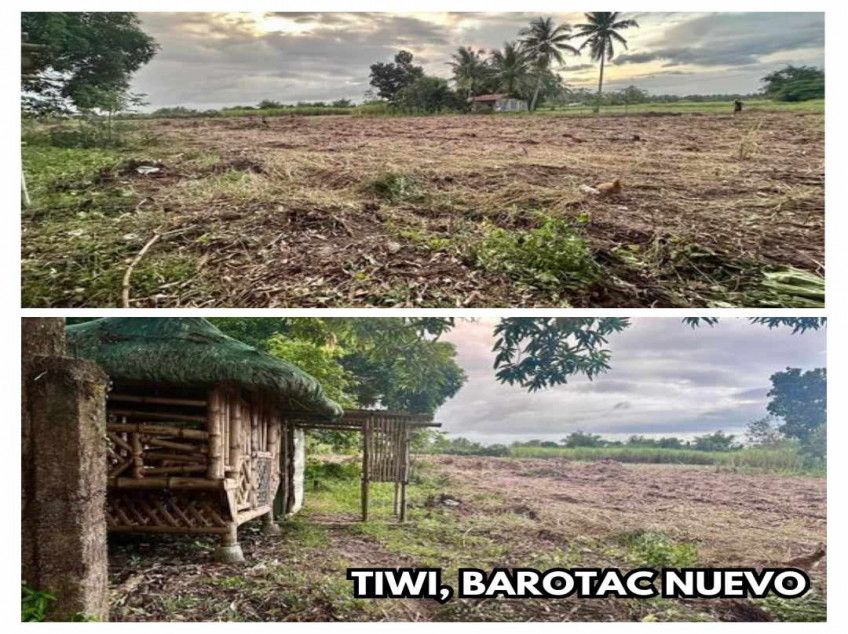 150 SQM Lot For Sale In Barotac Nuevo, Iloilo