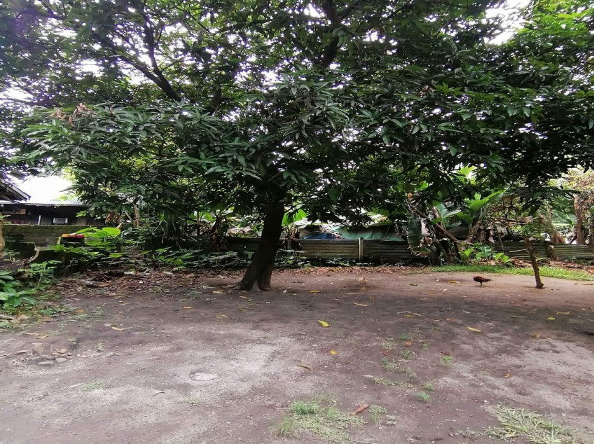 Lot For Sale In Happy Valley Dinalupihan, Bataan