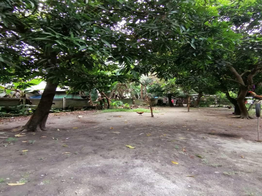 Lot For Sale In Happy Valley Dinalupihan, Bataan