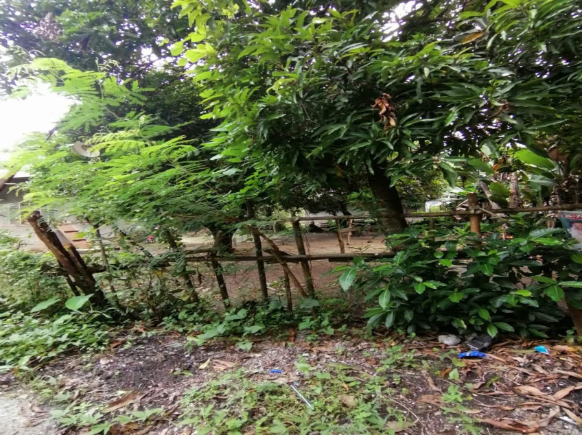 Lot For Sale In Happy Valley Dinalupihan, Bataan