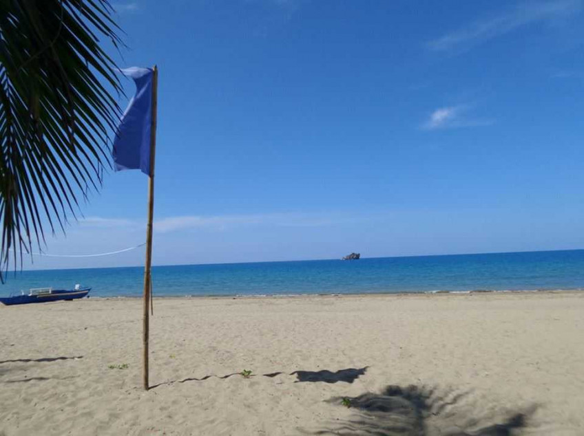 Beach Resort And Agricultural Land For Sale In Occidental Mindoro