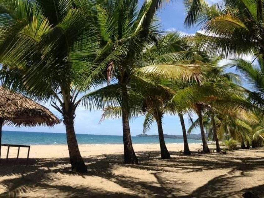 Beach Resort And Agricultural Land For Sale In Occidental Mindoro