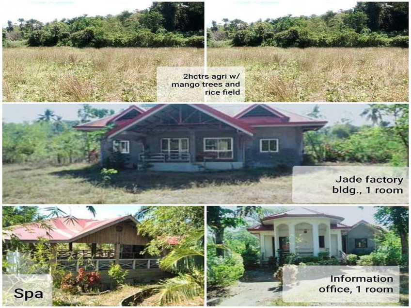 Beach Resort And Agricultural Land For Sale In Occidental Mindoro
