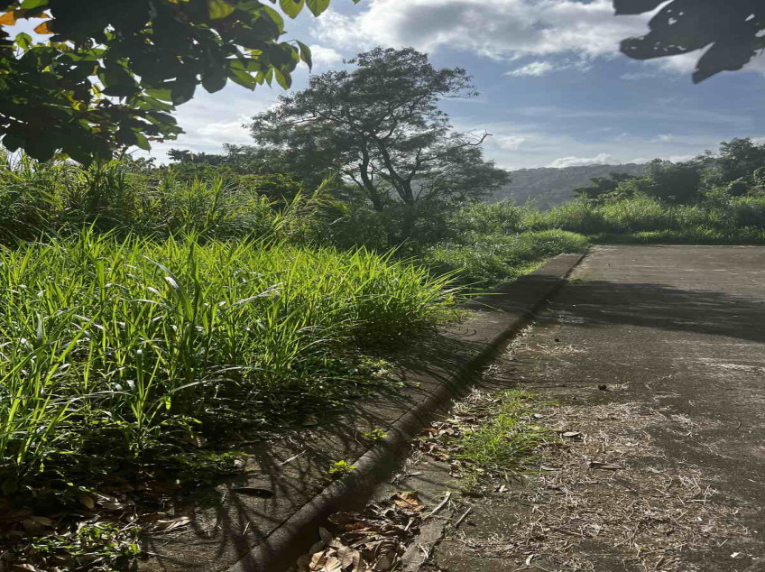 300 SQM Residential Lot For Sale In Monte Vista Subdivision Tagaytay, Cavite